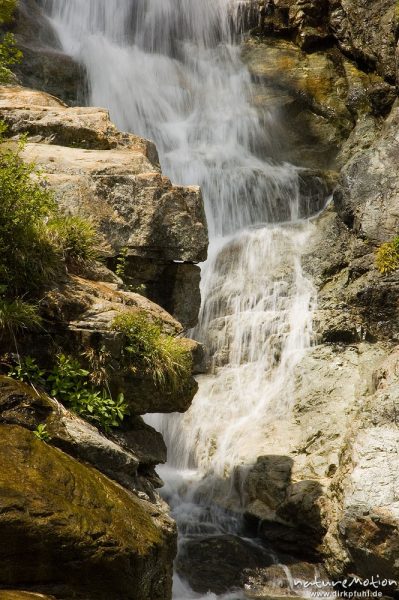 Wasserfall, Cascade des Anglais, Korsika, Frankreich