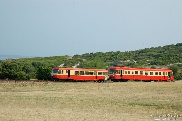 Schmalspurbahn, Diesellok, Bodri, Korsika, Frankreich