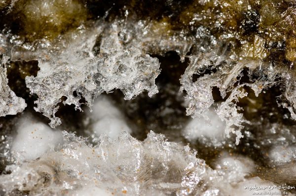 Salzkristalle, entstanden durch verdunstetes Meewasser in der Höhlung eines Steines, Küste bei Bodri, Korsika, Frankreich