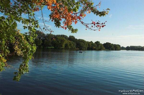 Zweige mit Herbstlaub vor Kiessee, Göttingen, Deutschland