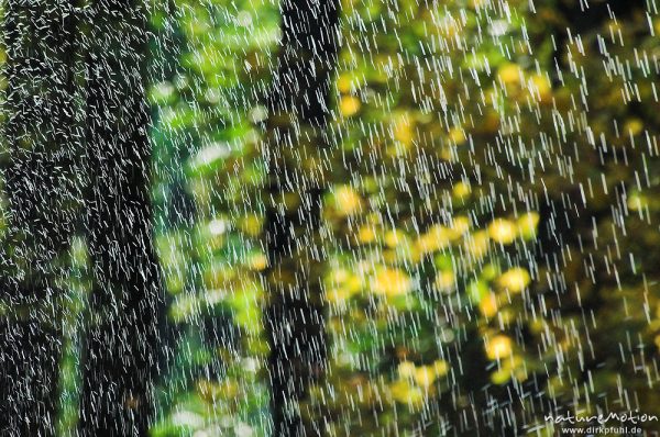 Wassertropfen, Fontäne, Teich im Sheltenham-Park, Göttingen, Deutschland