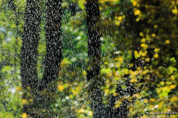 Wassertropfen, Fontäne, Teich im Sheltenham-Park, Göttingen, Deutschland