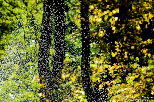 Wassertropfen, Fontäne, Teich im Sheltenham-Park, Göttingen, Deutschland