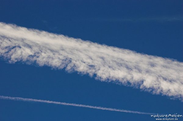 Kondensstreifen, zu Zirrus-Wolke aufgequollen, Göttingen, Deutschland