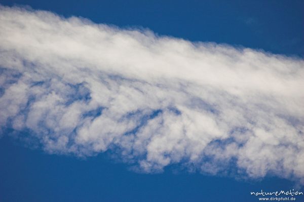 Kondensstreifen, zu Zirrus-Wolke aufgequollen, Göttingen, Deutschland