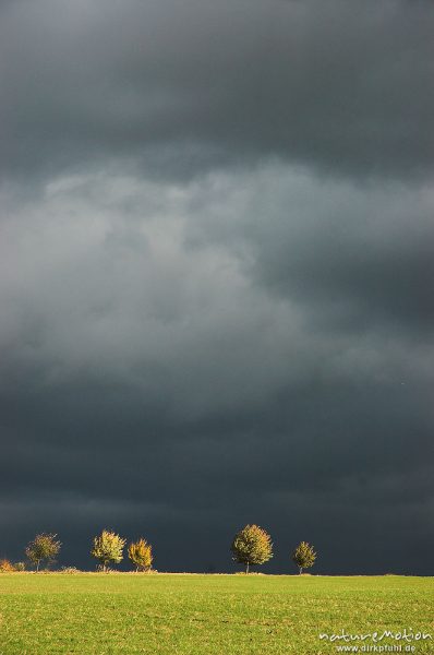 Baumreihe vor dunklen Regenwolken, Leinetal, Göttingen, Deutschland