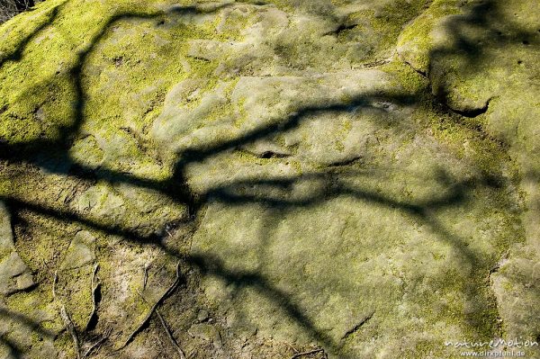 Schatten von Zweigen auf Sandsteinfelsen, Teufelskanzel, Bornhagen, Deutschland