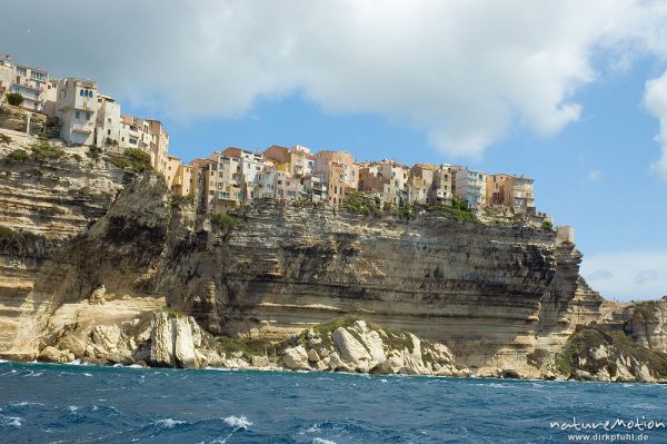 Bonifacio vom Meer aus, Altstadt am Klippenrand, Korsika, Frankreich