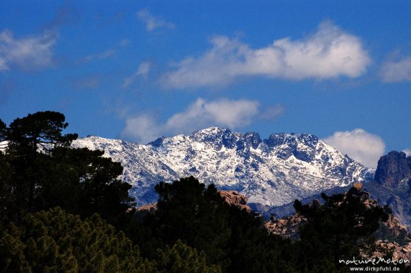 Bergzüge beim Stausee von Ospedale, Monte Incudine, schneebedeckt, Schwarz-Kiefern, Korsika, Frankreich