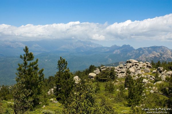 Bavella und Monte Incudine, Korsika, Frankreich