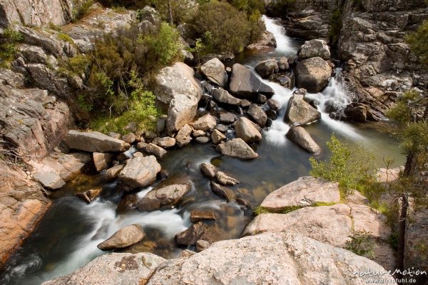 Gebirgsbach mit Wasserfällen und Felsen, Oso-Bach, Piscia di Gallo, Korsika, Frankreich