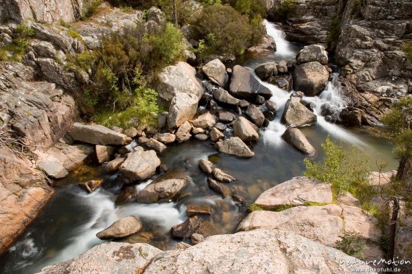 Gebirgsbach mit Wasserfällen und Felsen, Oso-Bach, Piscia di Gallo, Korsika, Frankreich