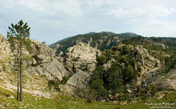Felsen und Höhenzüge, Oso-Schlucht, Piscia di Gallo, Korsika, Frankreich
