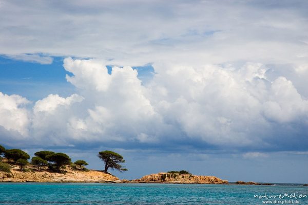 Pinie, Bucht von Ascaghjiu, Wolken, Korsika, Frankreich