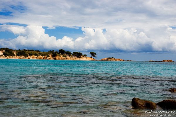 Pinie, Bucht von Ascaghjiu, Wolken, Korsika, Frankreich