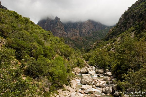 Gorche de Spelunca, Bach, Felswände und Regenwolken, Korsika, Frankreich