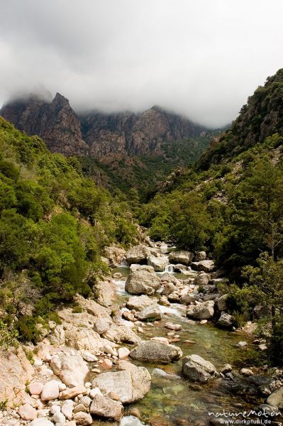 Gorche de Spelunca, Bach, Felswände und Regenwolken, Korsika, Frankreich