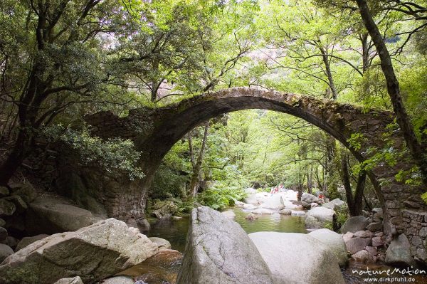 Ponte de Zaglia, Genuesenbrücke über den Spelunca-Bach, Gorche de Spelunca, Korsika, Frankreich