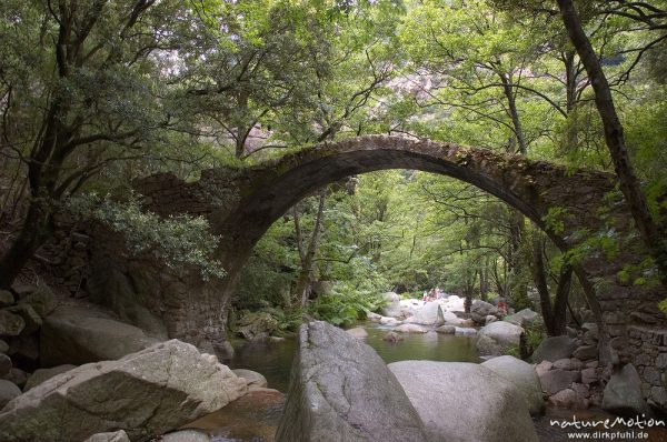 Ponte de Zaglia, Genuesenbrücke über den Spelunca-Bach, Gorche de Spelunca, Korsika, Frankreich