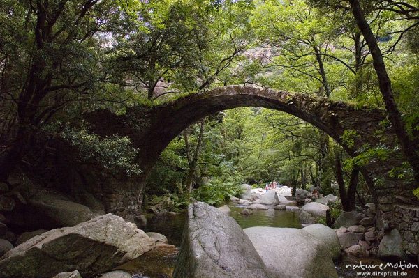 Ponte de Zaglia, Genuesenbrücke über den Spelunca-Bach, Gorche de Spelunca, Korsika, Frankreich