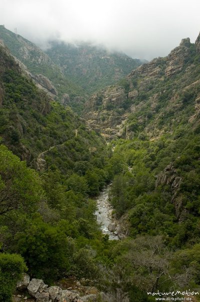 Bachtal, Gorche de Spelunca, Korsika, Frankreich