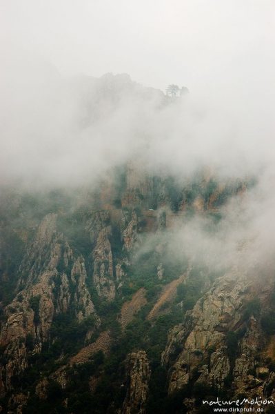 Calanche in Wolken, Château fort, Korsika, Frankreich