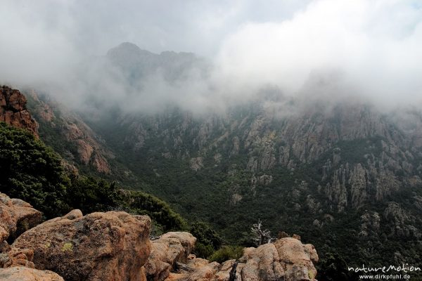 Calanche in Wolken, Château fort, Korsika, Frankreich