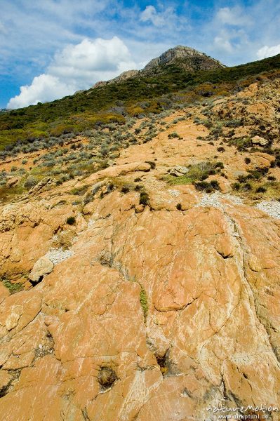 von der Brandung geschliffene Felsen, im Hintergrund Berggipfel, Plage d'Arone, Korsika, Frankreich