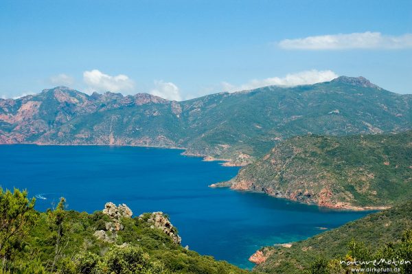 Felsküste, Golf von Girolata, Korsika, Frankreich