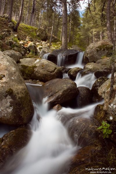 Wasserfall, Timozzo-Bach, Restonica-Tal, Korsika, Frankreich