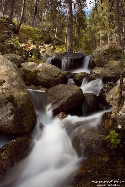 Wasserfall, Timozzo-Bach, Restonica-Tal, Korsika, Frankreich