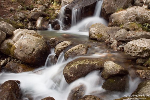 Wasserfall, Timozzo-Bach, Restonica-Tal, Korsika, Frankreich