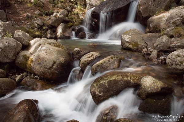 Wasserfall, Timozzo-Bach, Restonica-Tal, Korsika, Frankreich