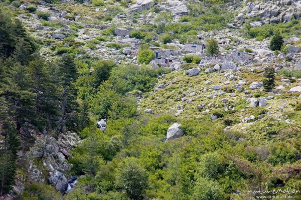 Bergerie Timozzo, Restonica-Tal, Korsika, Frankreich