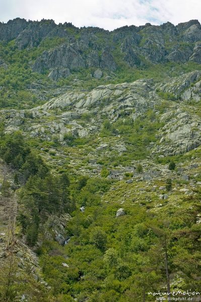 Bergerie Timozzo, Restonica-Tal, Korsika, Frankreich