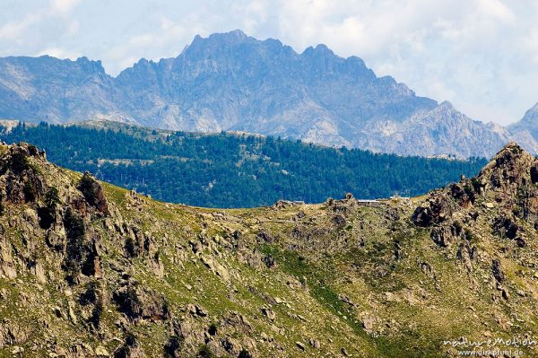 Blick zur Bergerie de Capellacio, im Hintergrund vermutlich der Cima a i Mori, Korsika, Frankreich