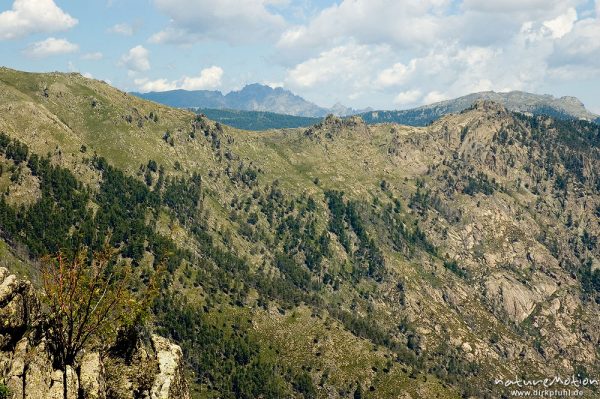 Blick zur Bergerie de Capellacio, im Hintergrund vermutlich der Cima a i Mori, Korsika, Frankreich