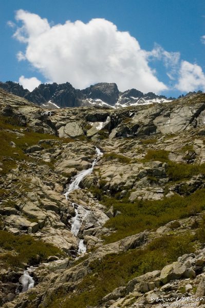 Kaskaden des Timozzo-Baches direkt unterhalb des Lac de l’Oriente, dahinter Gipfel des Monte Rotondo, Korsika, Frankreich