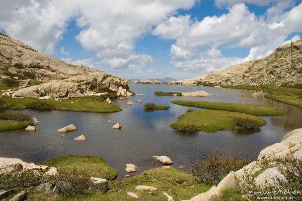 Lac de l'Oriente, Korsika, Frankreich