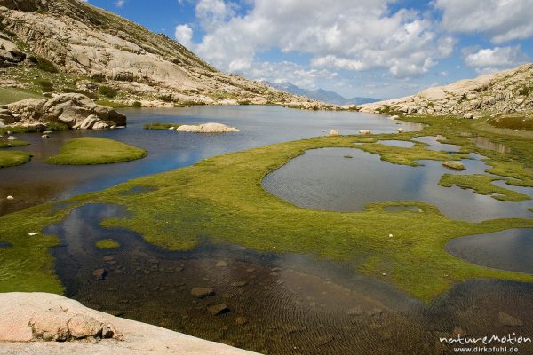 Lac de l'Oriente, Korsika, Frankreich