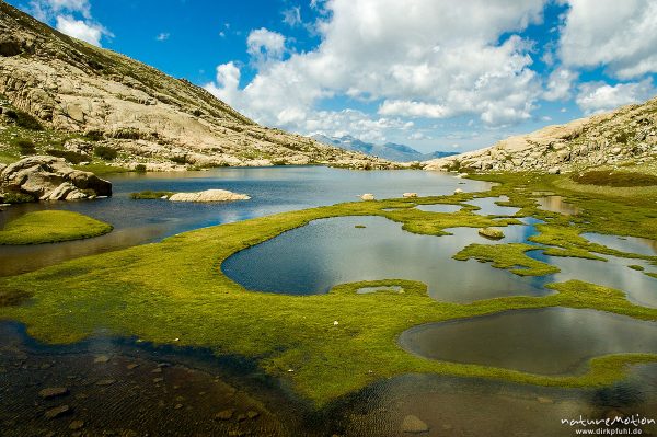 Lac de l'Oriente, Korsika, Frankreich
