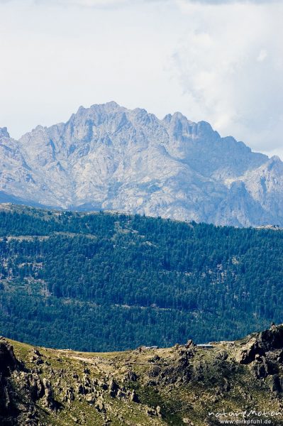 Blick zur Bergerie de Capellacio, im Hintergrund vermutlich der Cima a i Mori, Korsika, Frankreich