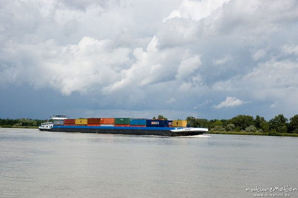 Containerschiff, Rhein bei Baden-Baden, Rhein, Deutschland