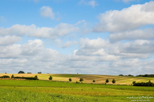 Wiesen und Felder unter Sommerhimmel, Zahren, Deutschland