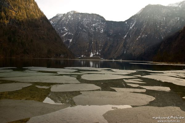 Eisschollen auf dem Königssee, Blick nordostwärts auf Ebenhorn, Königssee, Deutschland