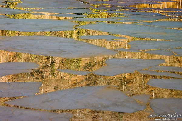 Eisschollen und Äste, im Wasser spiegelt sich gelbroter Wald Licht, Königssee, Königssee, Deutschland