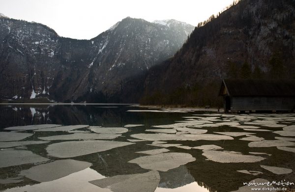 Eisschollen auf dem Königssee, Blick nordostwärts auf Ebenhorn, Königssee, Deutschland