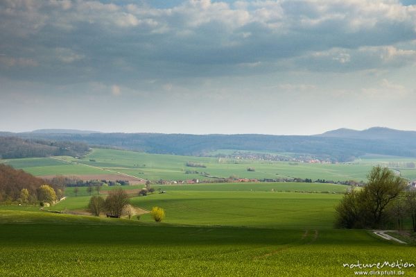 Getreidefelder, Blick über das Gartetal zu den Gleichen, dazwischen Diemarden, Diemarden bei Göttingen, Deutschland