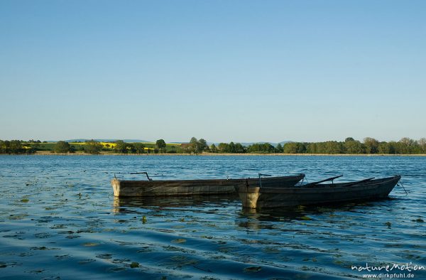 Rudeboote auf dem Seeburger See, Seeburger See, Deutschland