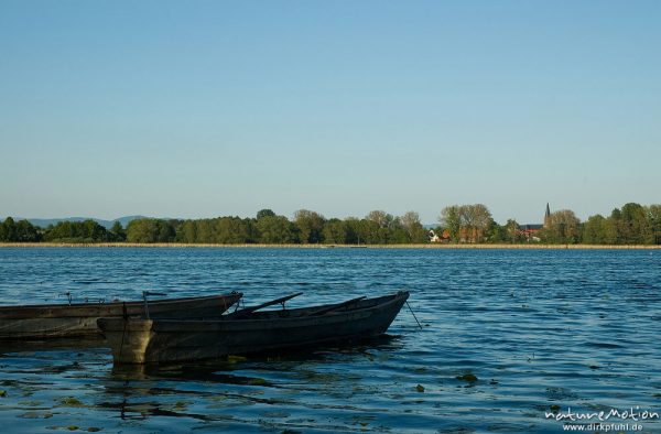 Rudeboote auf dem Seeburger See, Blick auf Germershausen, Seeburger See, Deutschland
